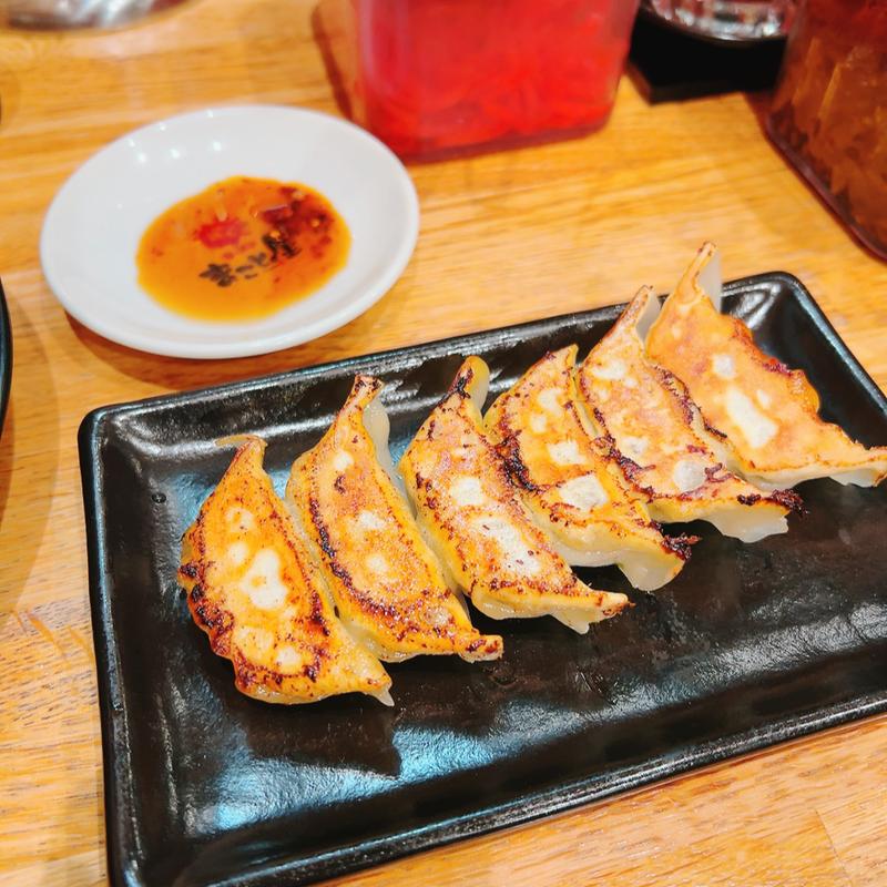 焼餃子(ラーメンまこと屋 枚方磯島元町店)