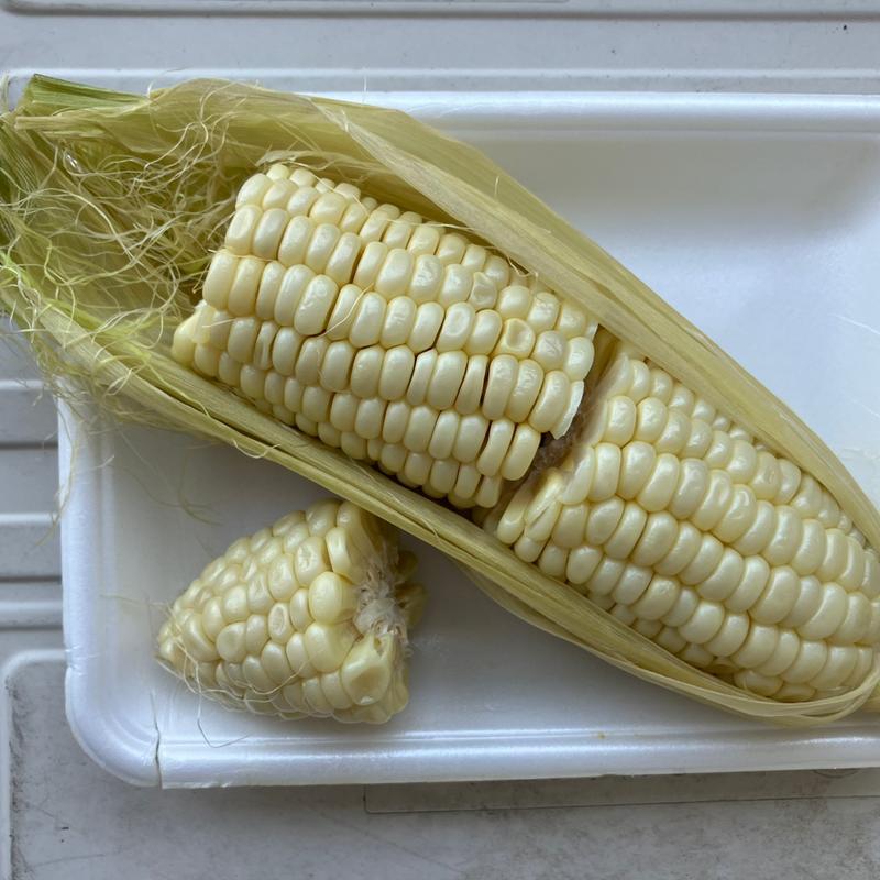 ピュアホワイト(愛彩ランド )