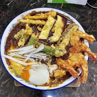 カツ天カレーそば 特330&白ごはん(大)(群青)