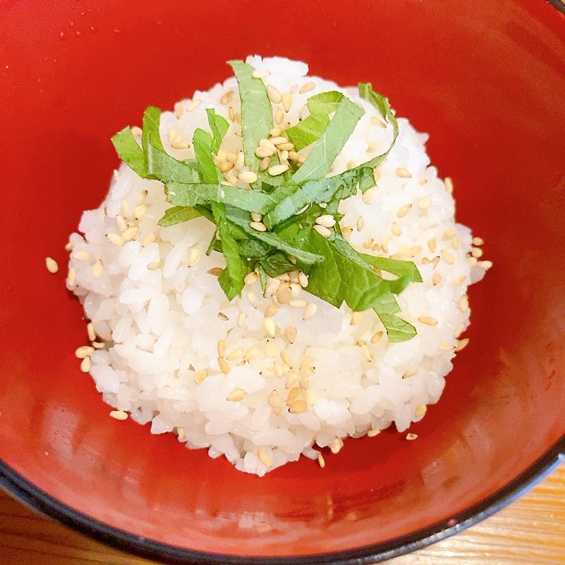 追い飯（つけそば〜エビ〜）(麺屋会心の一振り)