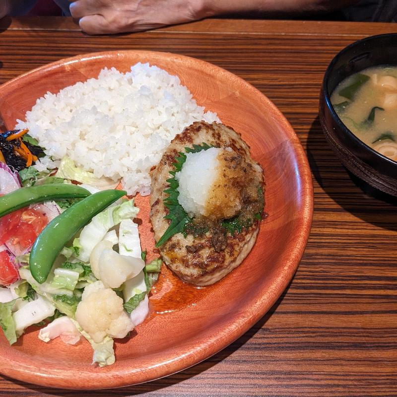 いろどりおろしそバーグディッシュ(びっくりドンキー 盛岡南店 )