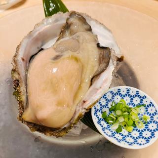 生牡蠣(スペイン料理 あおぎり)