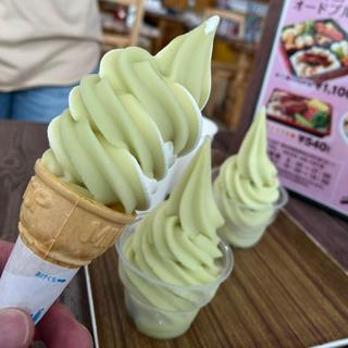 シャインマスカットのソフトクリーム(道の駅 林林館)