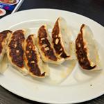 焼き餃子(ラーメンランド 開南店 )