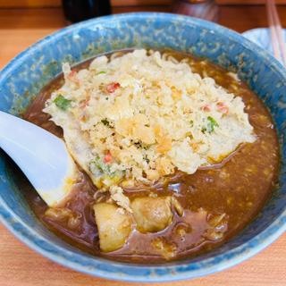 カレー南辛口 かき揚げトッピング(江戸一 善光寺店 （えどいち）)