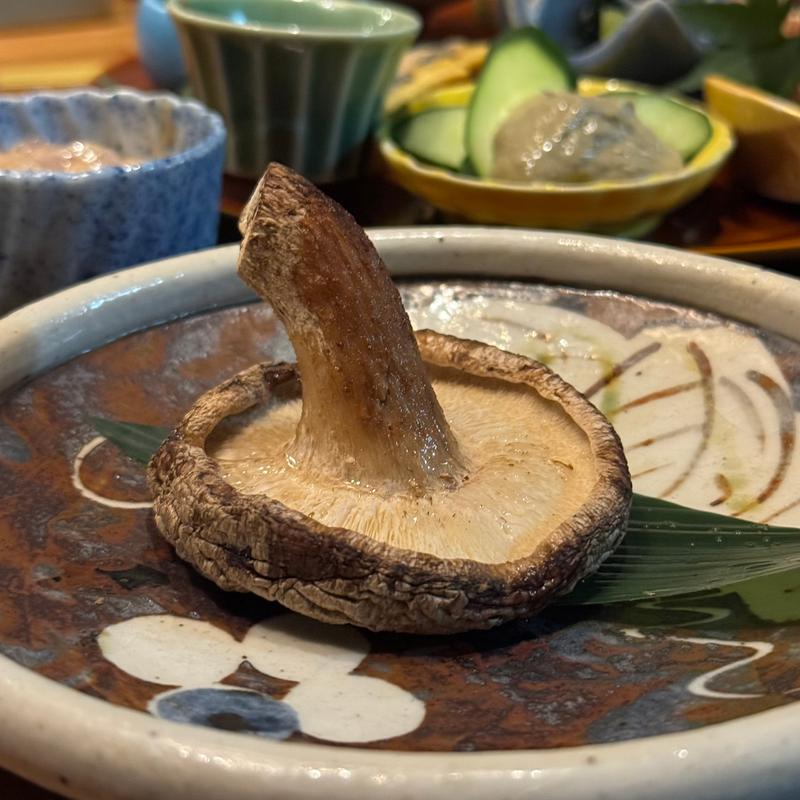 どんこしいたけ(北のマルコ)