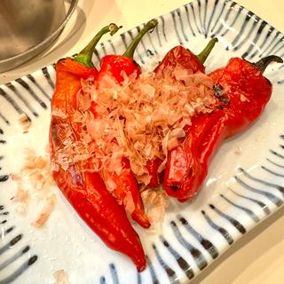 唐辛子(平八)
