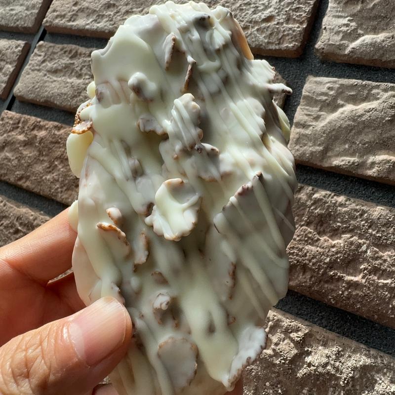 ブランショコラ(ねこのおなか(Neco no Onaca))