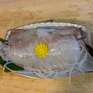 北海道産スルメイカの刺身(心輝水産)