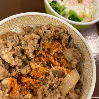 牛丼並+サラダセット(すき家 多摩乞田店 )