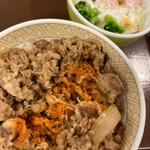 牛丼並+サラダセット