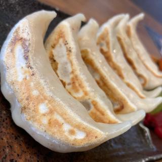 究極の餃子定食(肉汁餃子のダンダダン 京王永山店)