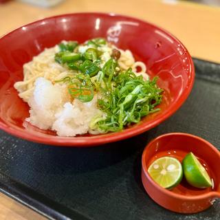 ねばとろすだちおろしうどん