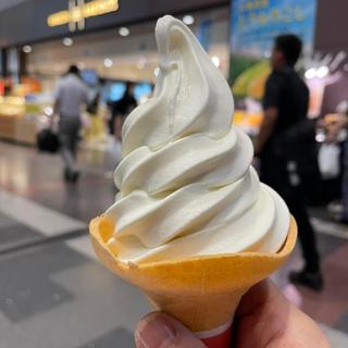 バニラソフトクリーム(北海道どさんこプラザ 羽田空港店)