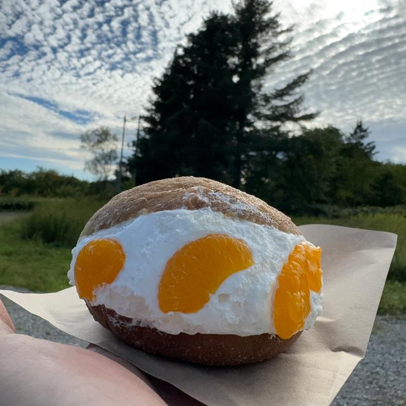 生ドーナツ　みかん(笑mina donuts)