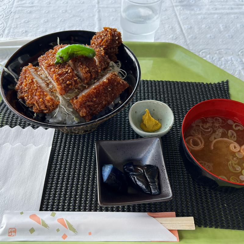 ソースカツ丼(ストリーム)