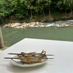 鮎の塩焼き(粕尾川観光やな)