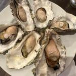 飲み放題付コース(目利きの銀次　キャッセン大船渡店)