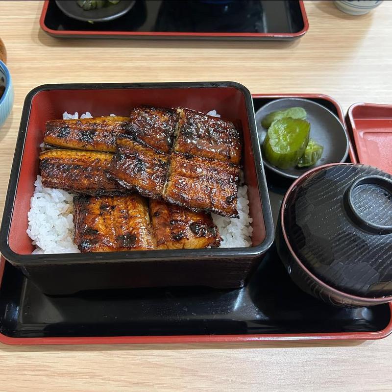 うな重 並(とみだ)