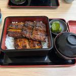 うな重 並(とみだ)