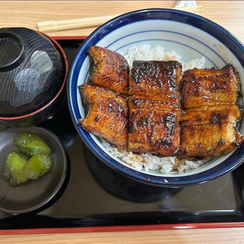 うなぎ丼(とみだ)