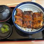 うなぎ丼(とみだ)