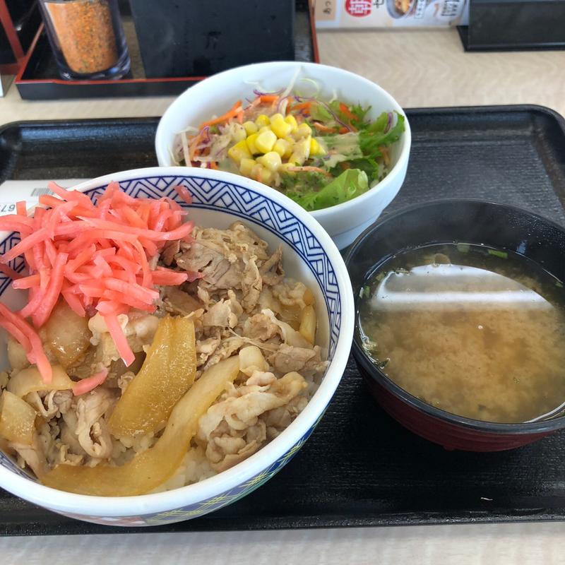 豚丼+サラダセット(吉野家 ５０号線バイパス太田店)