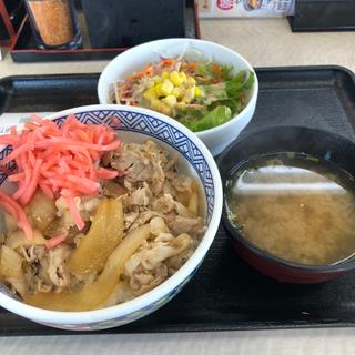 豚丼+サラダセット(吉野家 ５０号線バイパス太田店)