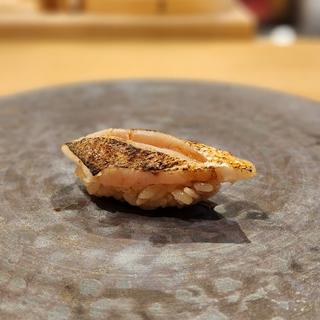 明石産 カマス炙り 握り(鮨処 いこう)