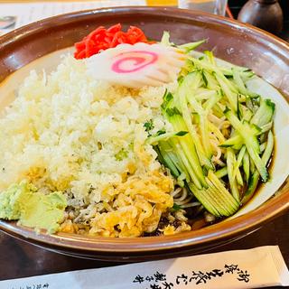メガ冷したぬきそば(松月庵)