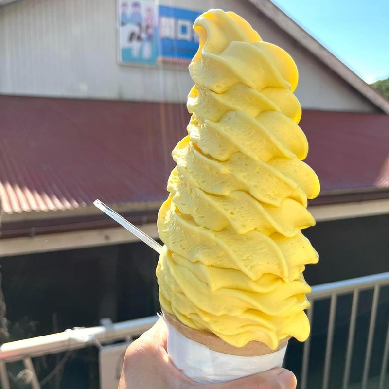 かぼちゃソフトクリーム(よこすか関口牧場)