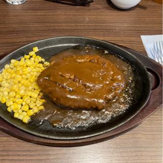 デミグラスハンバーグ300g(Steak＆Hamburg RIVER)