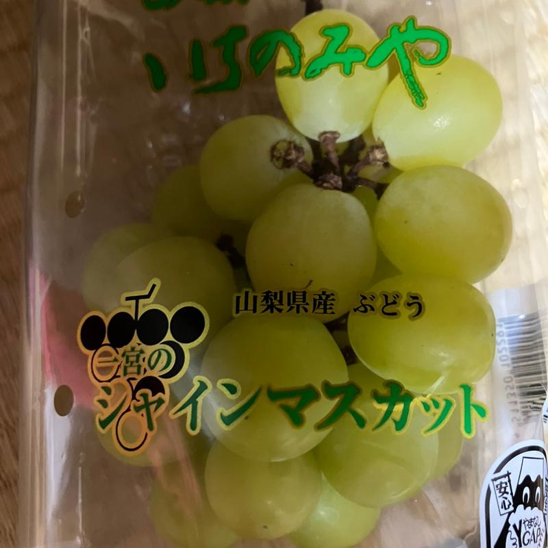 シャインマスカット(いずみの農業協同組合 北池田購買店舗)