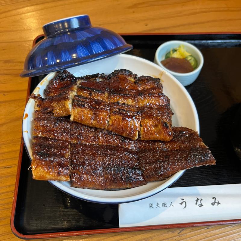鰻丼 特(うなみ)