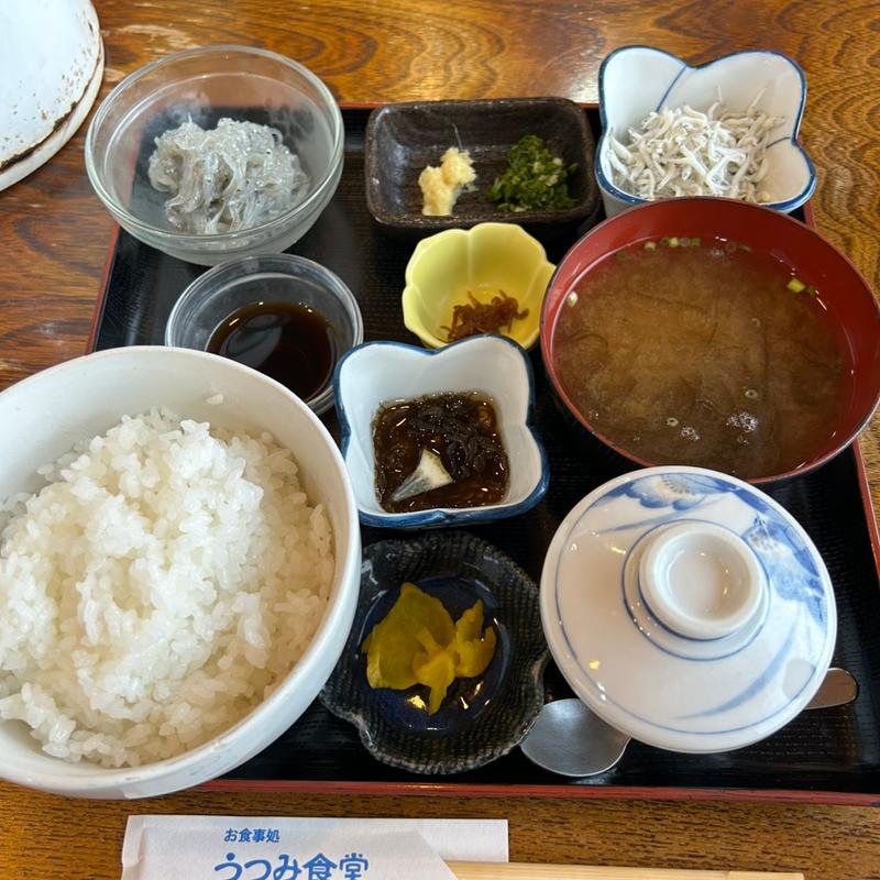 生しらす丼(うつみ食堂 )