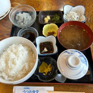 生しらす丼