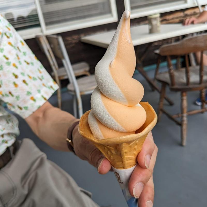 びわミックスソフト(とみうらマート)