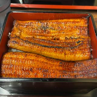 うな重(鰻の成瀬 福岡大橋店)
