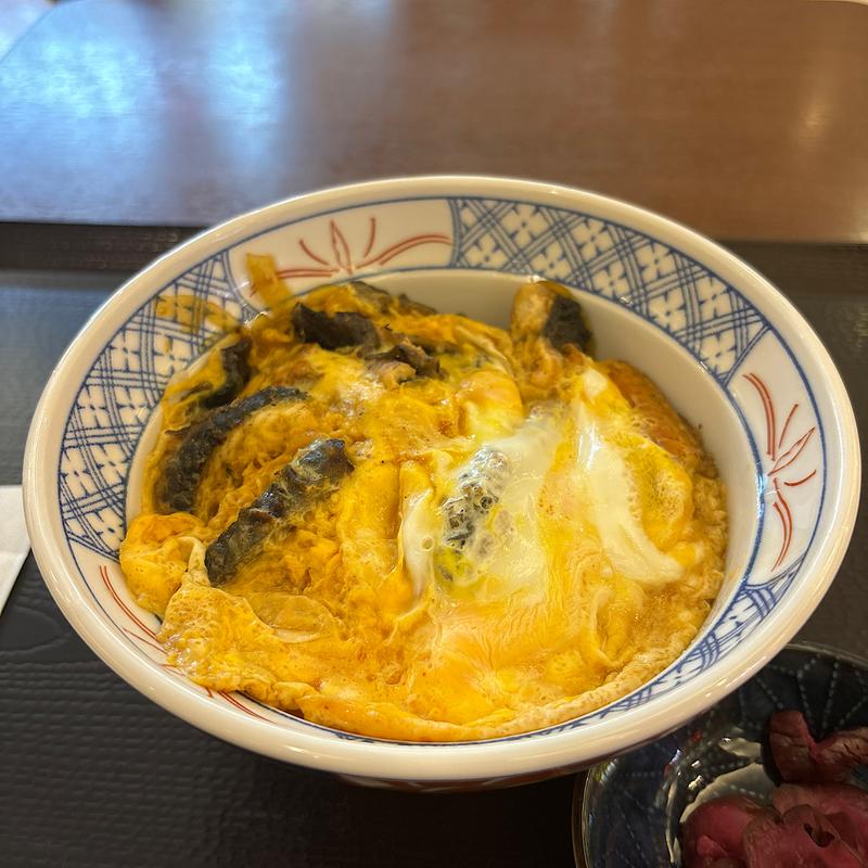 うな玉丼(かつてん モラージュ菖蒲店)