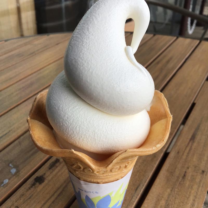 ソフトクリーム　ミルク(すなば珈琲 高田松原店)