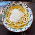 ひやかけうどん(丸亀製麺晴海トリトン)