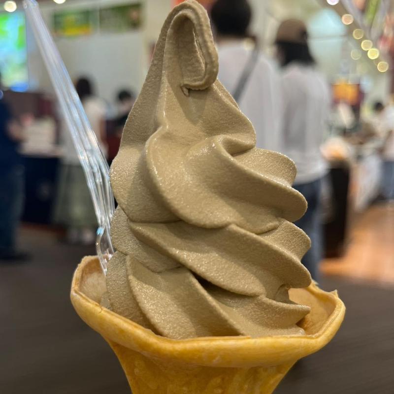 ほうじ茶ソフトクリーム(お茶の井ヶ田 喜久水庵 多賀城本店)