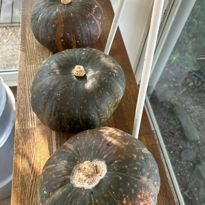 (ナチューラ 北島店 （Natura）)