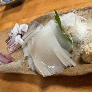 イカ刺し(田、ぬき村)