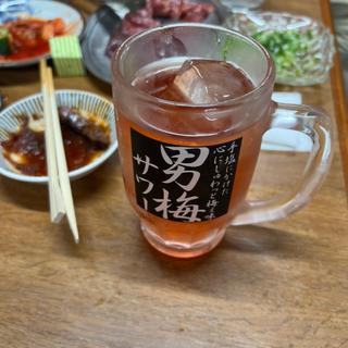 男梅サワー(光園 )