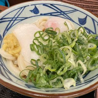 トロ玉ぶっかけうどん(丸亀製麺三木)