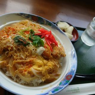 かつ丼大盛(道の駅 やまびこ館〈閉伊の郷 かわい〉)