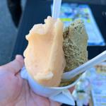 ハイグレープフルーツとほうじ茶(瀬波南国フルーツ園)