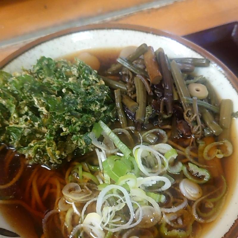 山菜そば＋春菊天(そば処　亀島 )