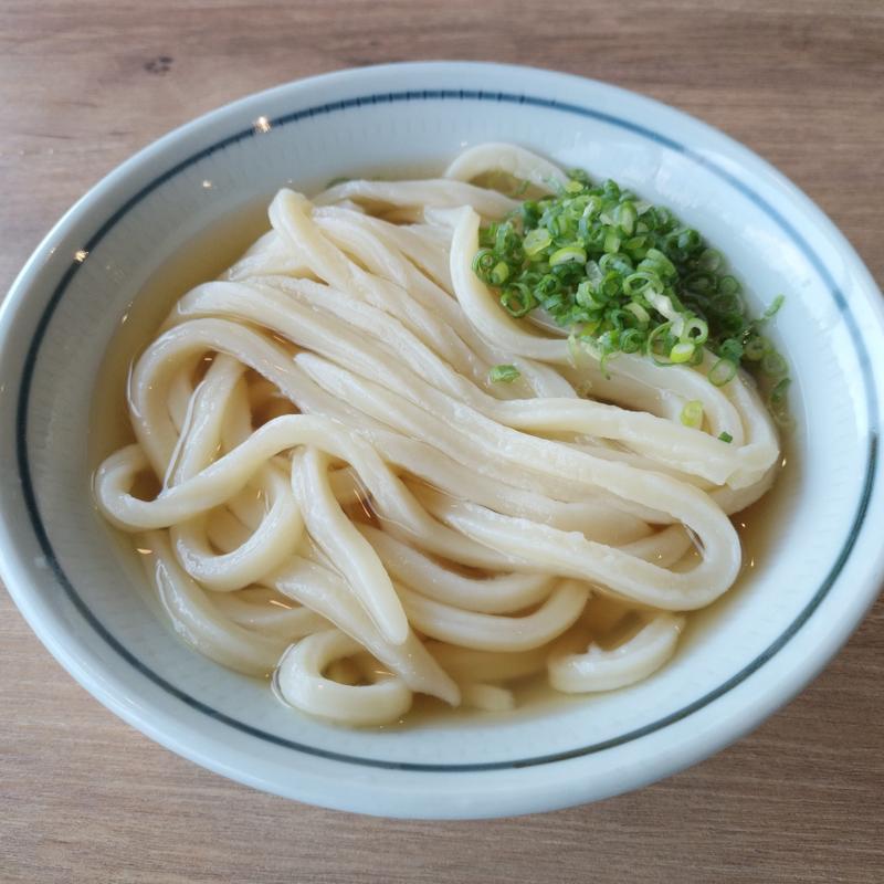 冷かけ 中(うどん村 辰巳店 )
